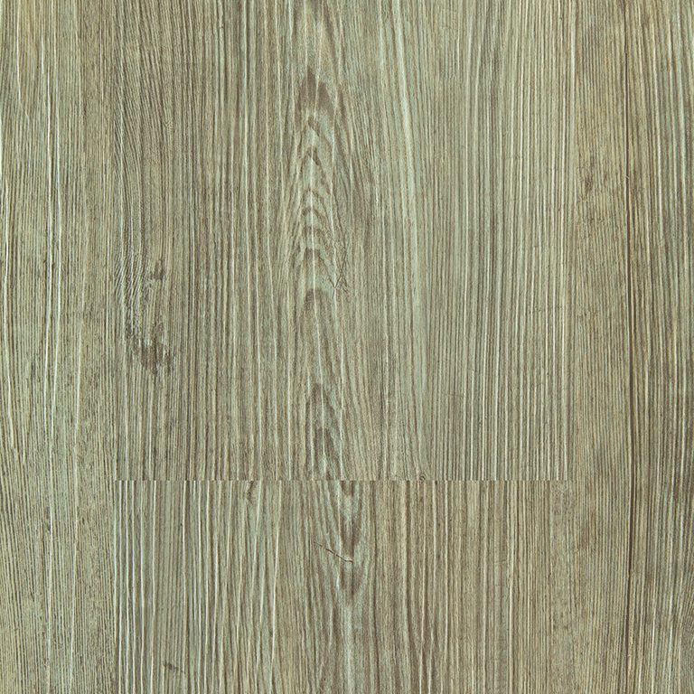 B1S0001